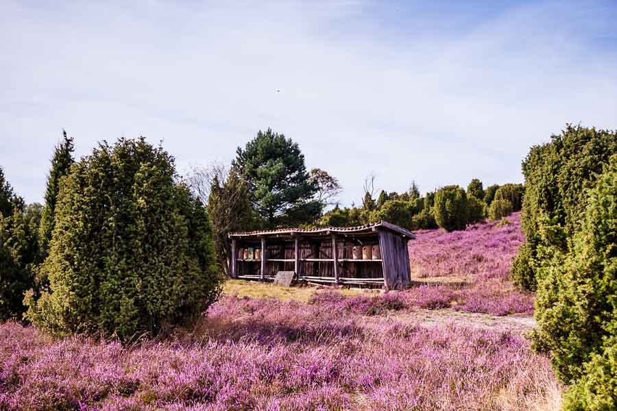 Ellerndorfer Wacholderheide: Bienenzaun