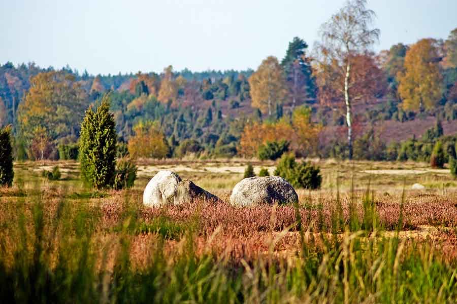 Ellerndorfer Wacholderheide im Herbst