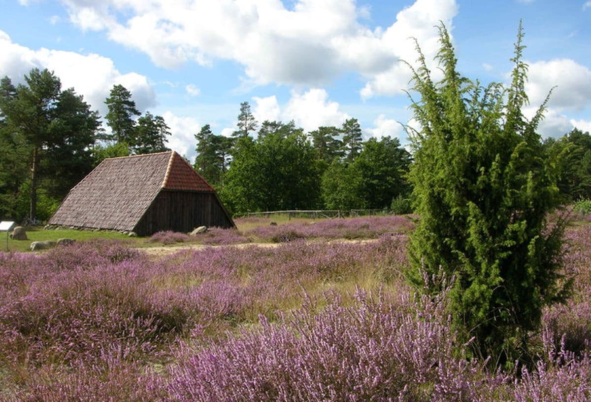 Bad Bodenteicher Heide mit Schafstall