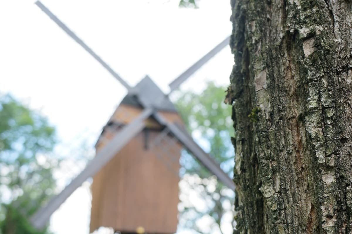 Bockwindmühle Winsen (Aller)