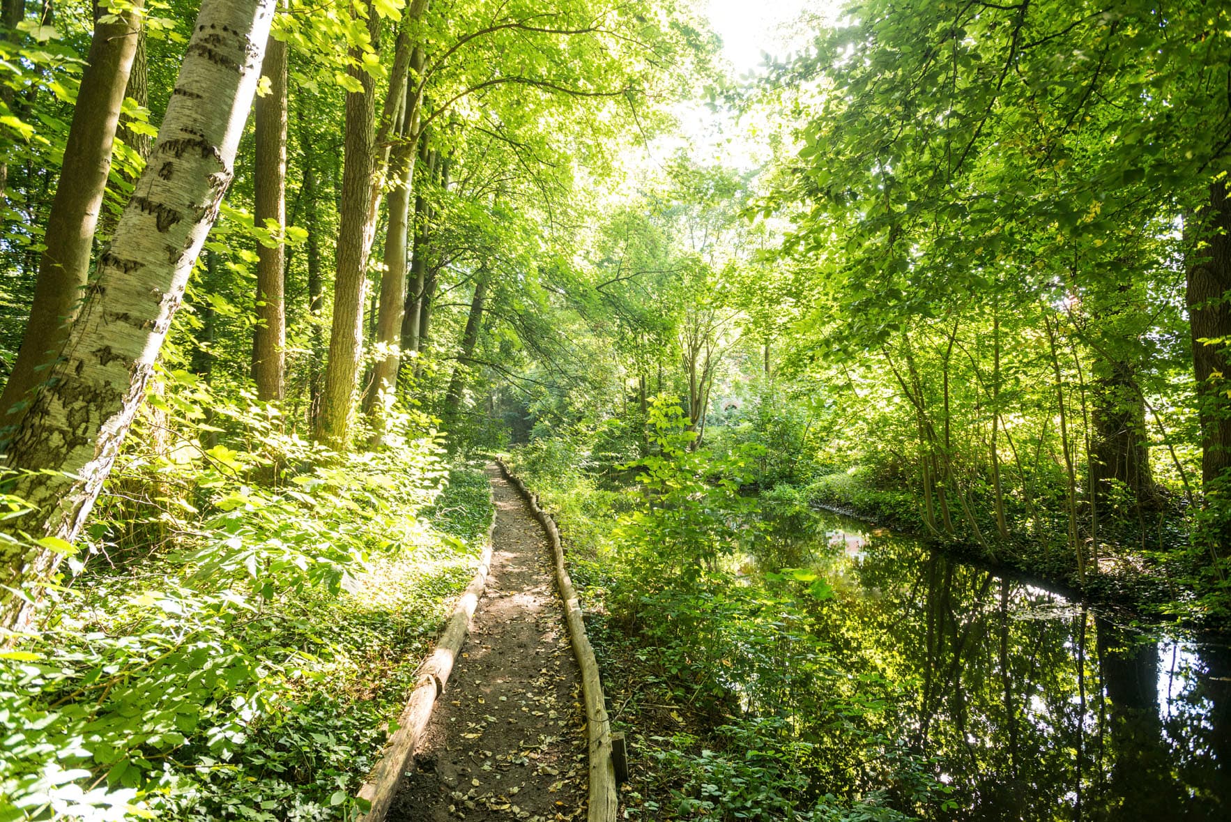 Natur pur - Vierhundert-Wasser-Barfuß-Pfad