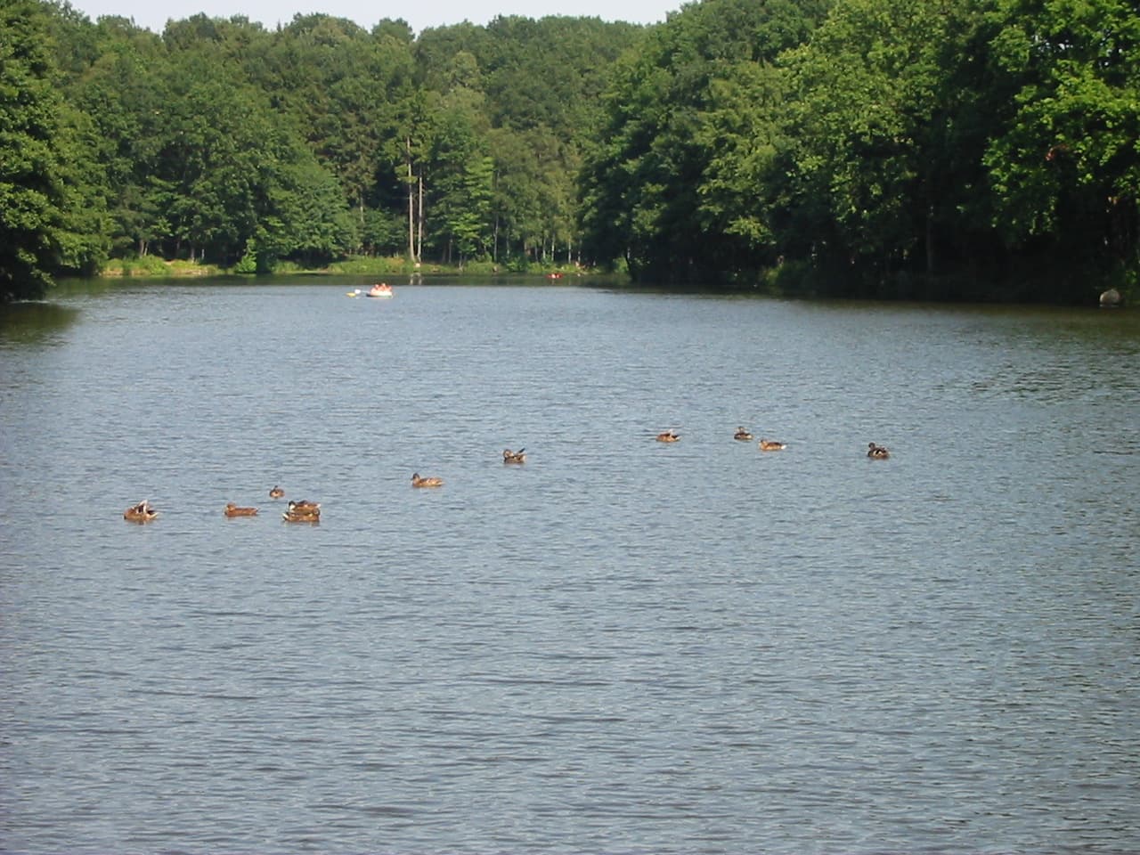 Blick auf den Brunausee bei Behringen