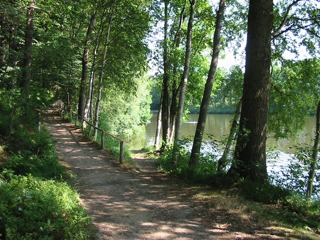 Weg am Brunausee bei Behringen