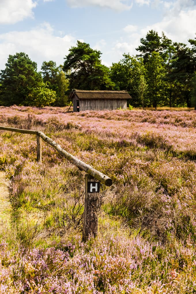 Behringer Heide