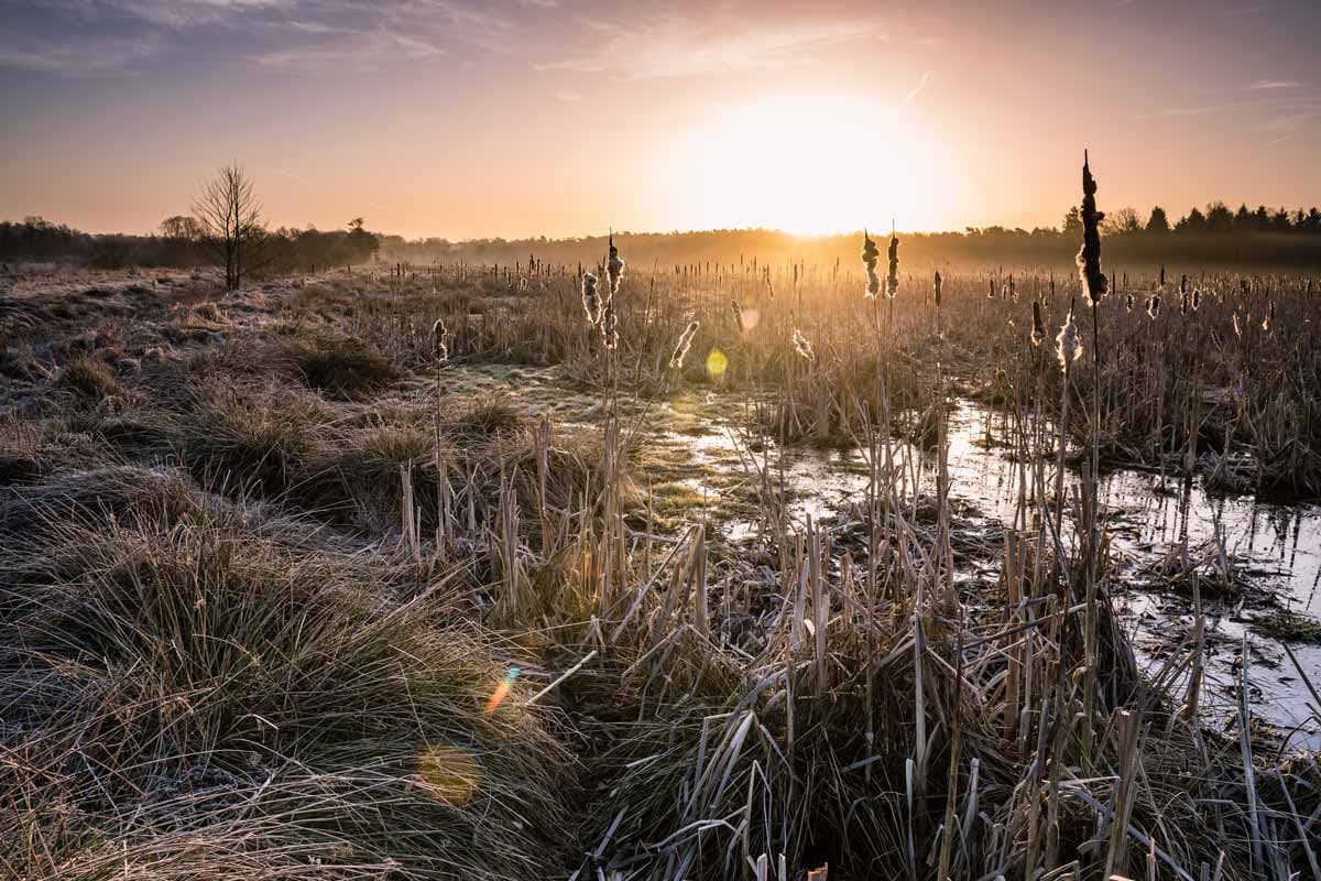 Schweimker Moor im Sonnenaufgang