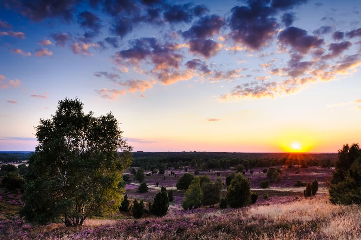 Sonnenuntergang am Wilseder Berg