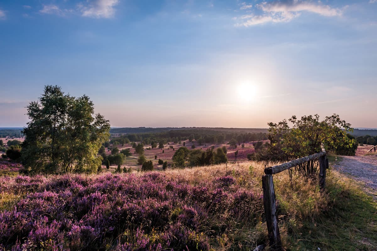 Blick in die Weite Landschaft rund um den Wilseder Berg