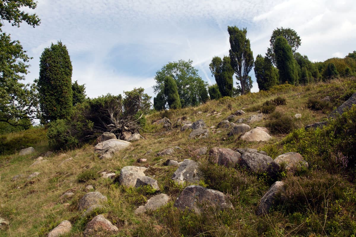 Wilseder Berg mit 169 m Höhe