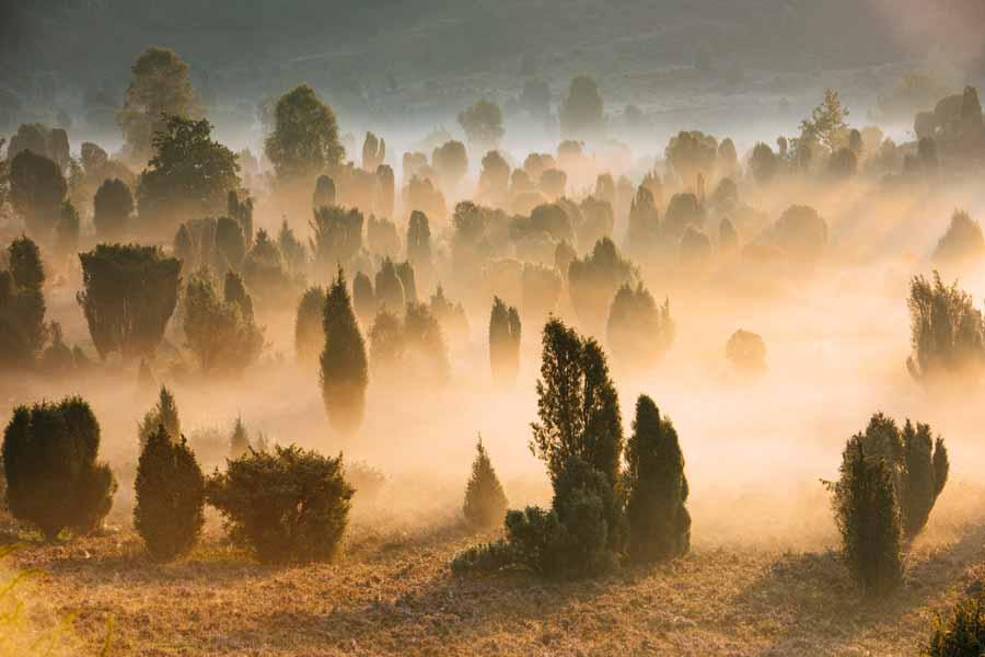 Totengrund - en dal med overnaturlig skønhed