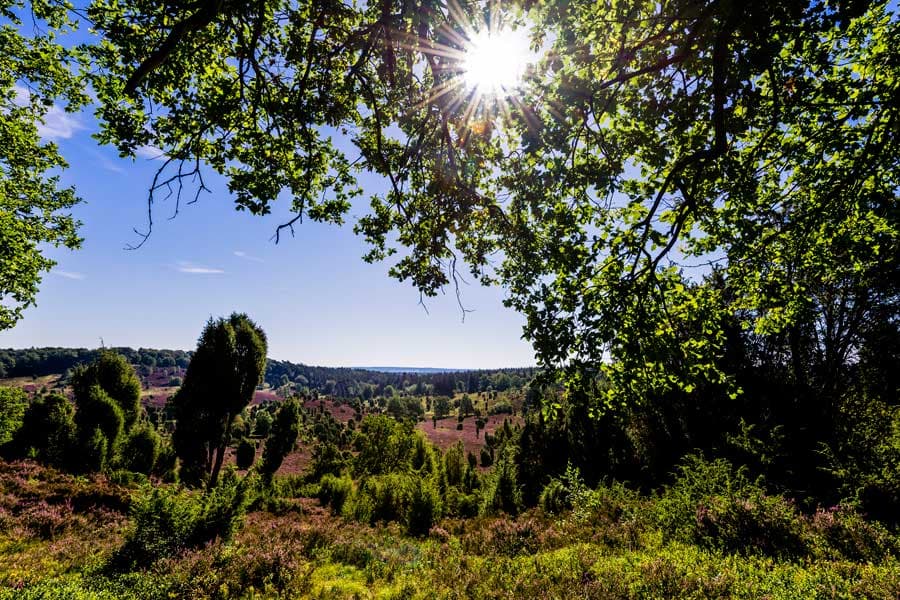 Blick auf den Totengrund