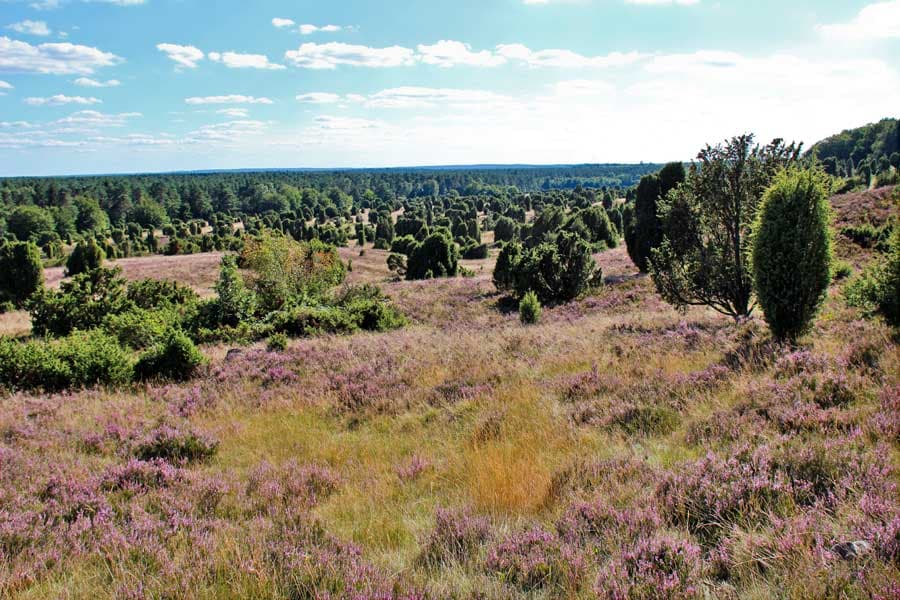 Fernsicht Panorama Totengrund