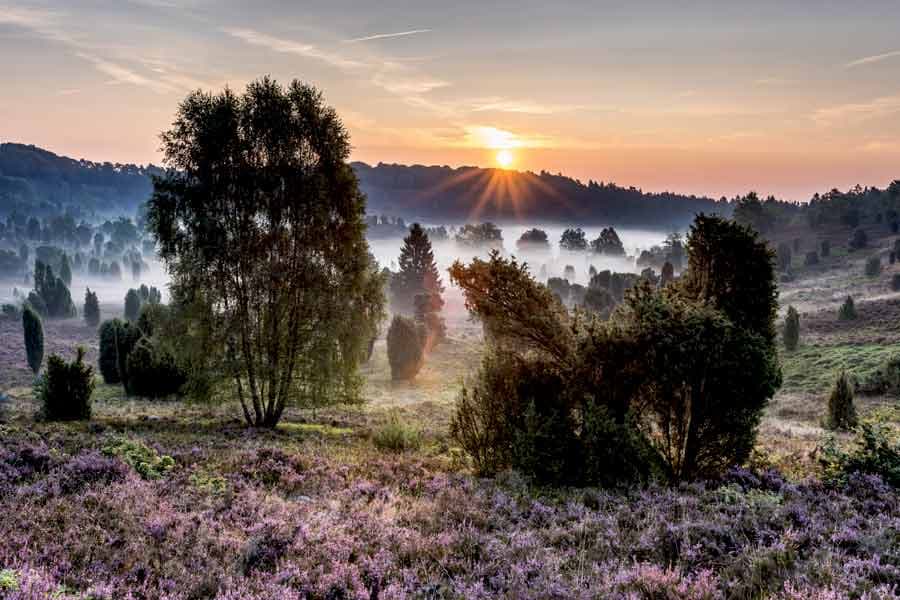 Sonnenaufgang am Totengrund