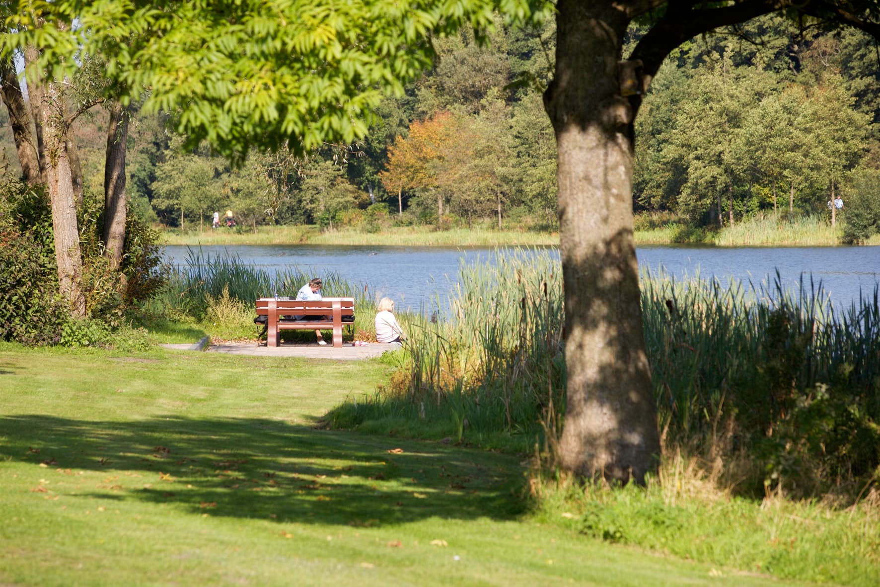 Idylle am Heidesee