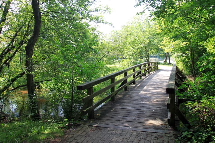 heidesee mueden oertze, naturpark suedheide, lueneburger heide, fassberg