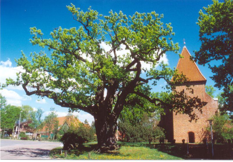 St. Martin-Kirche in Hittbergen