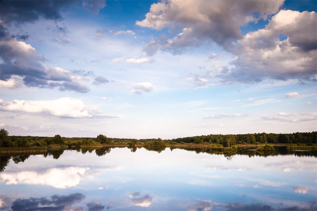 Naturschutzgebiet Meißendorfer Teiche 