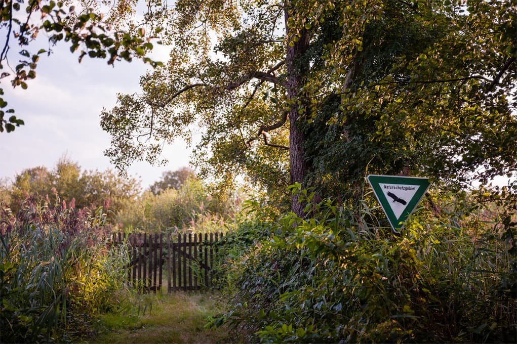 Meissendorfer Teiche, Huettenseepark, Meissendorf, Winsen, Aller, Suedheide
