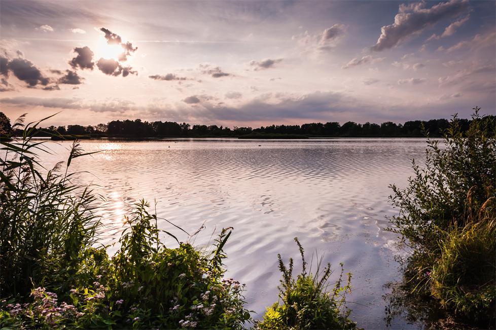 Surprising lake landscape in the heath: Meissendorf Ponds
