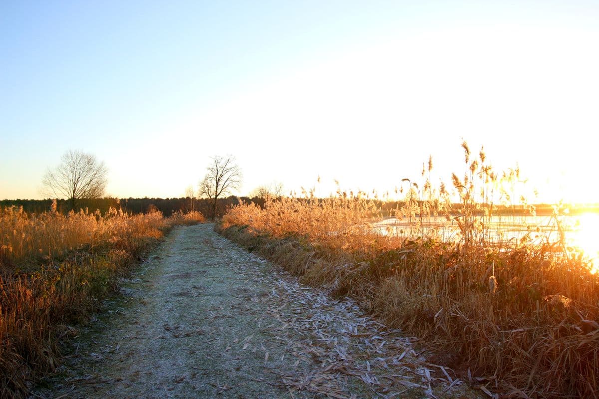 Rundwanderweg im Hüttenseepark