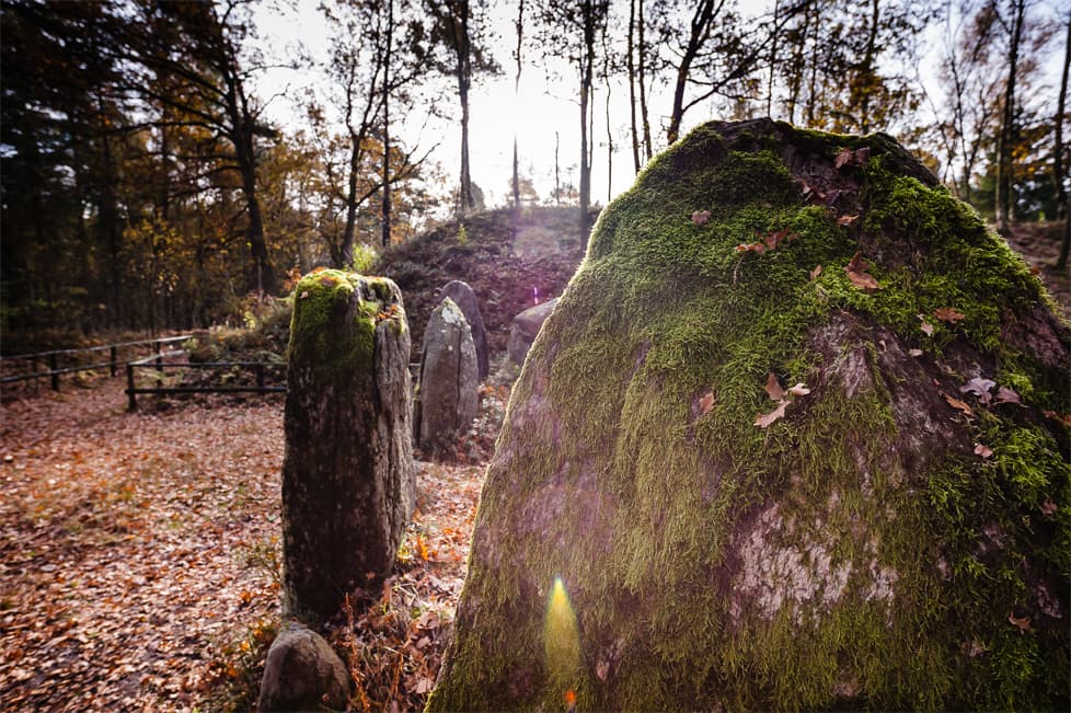 sehenswürdigkeit lüneburger heide