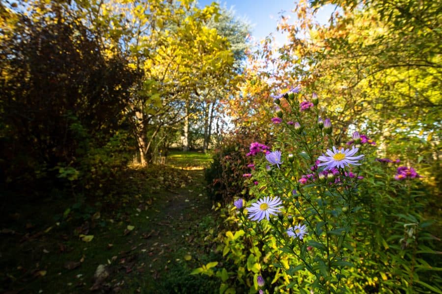 Arboretum Melzingen