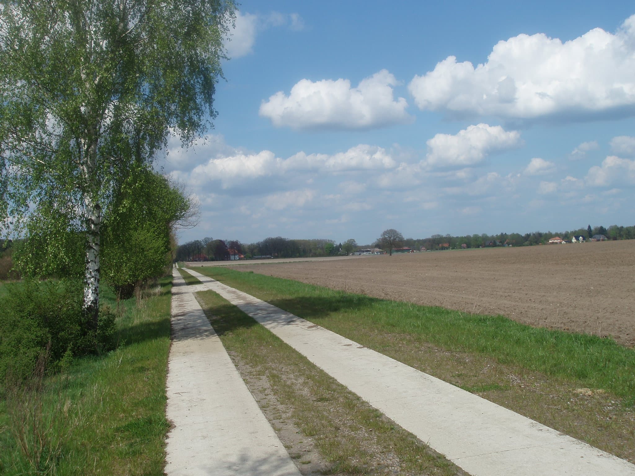 Wandern entlang des Timmerloher Wegs auf dem Planetenlehrpfad Handeloh