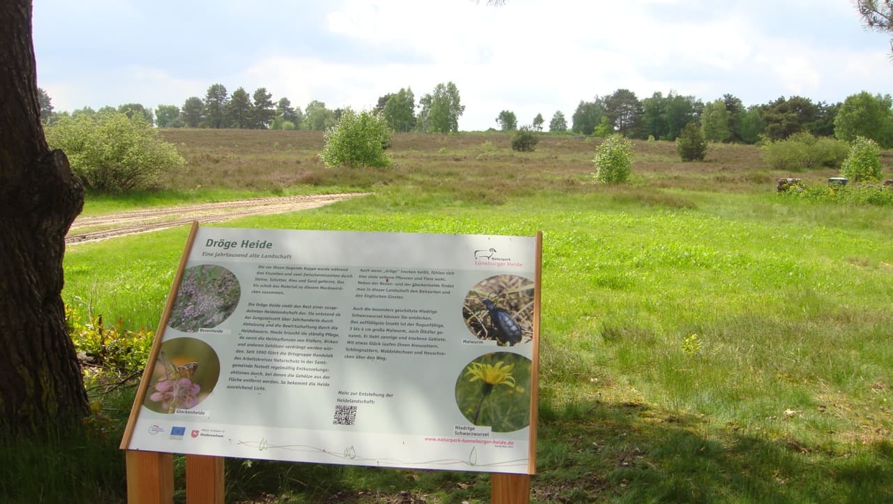 Infotafel Dröge Heide