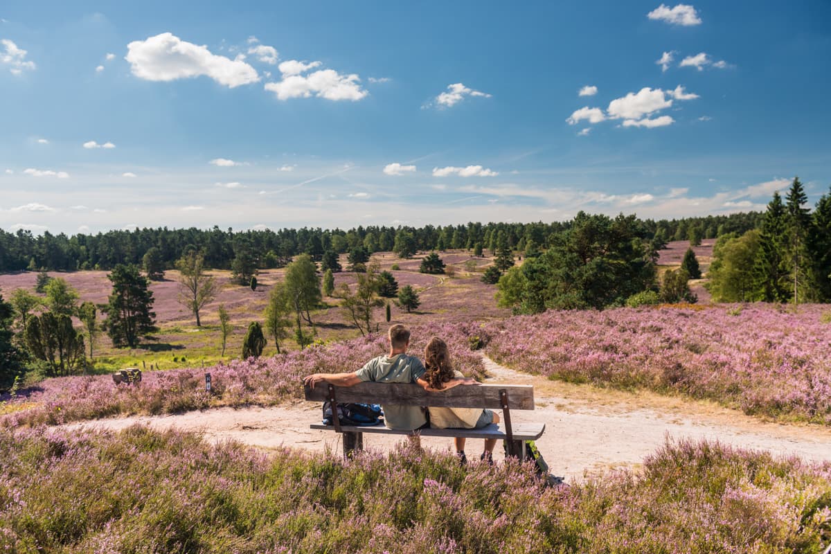 Das Büsenbachtal ist das Highlight auf der Wanderwoche Lüneburger Heide. Mitten im Naturpark Lüneburger Heide in  der Nordheide gelegen ist es ein Mekka für alle Naturliebhaber und Urlauber. Als Tagesziel oder Tagesausflug bestens geeignet durch angrenzende Parkplätze in Wörme bei Handeloh.