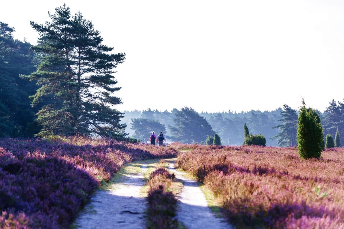 Das Tiefental an der Misselhorner Heide