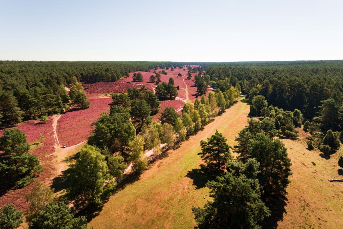 Luftaufnahme der Misselhorner Heide, Hermannsburg, Naturpark Südheide