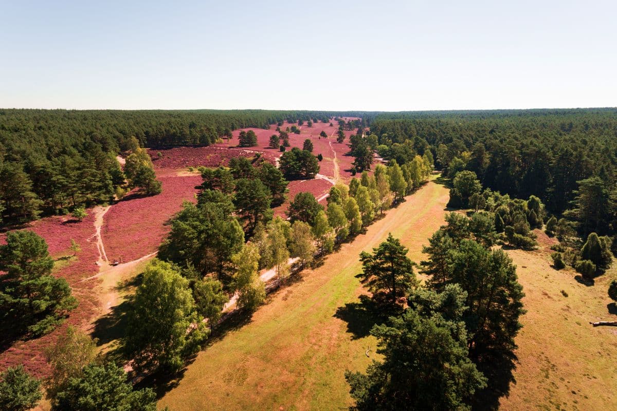 Luftaufnahme der Misselhorner Heide