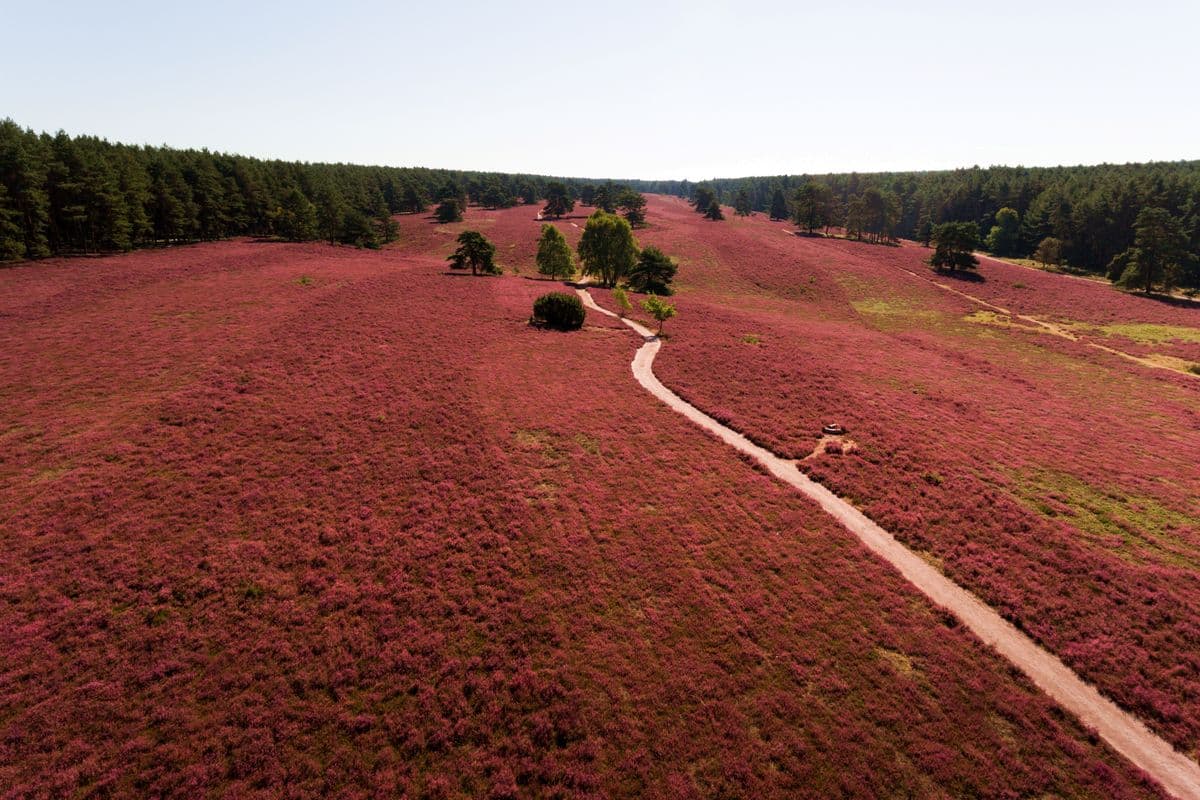 Luftaufnahme der Misselhorner Heide