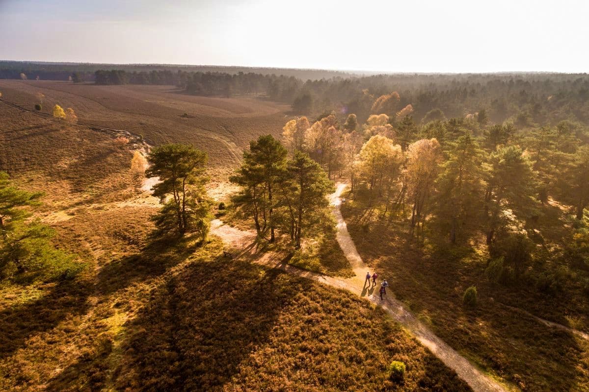 Heidschnuckenweg durch die Misselhorner Heide