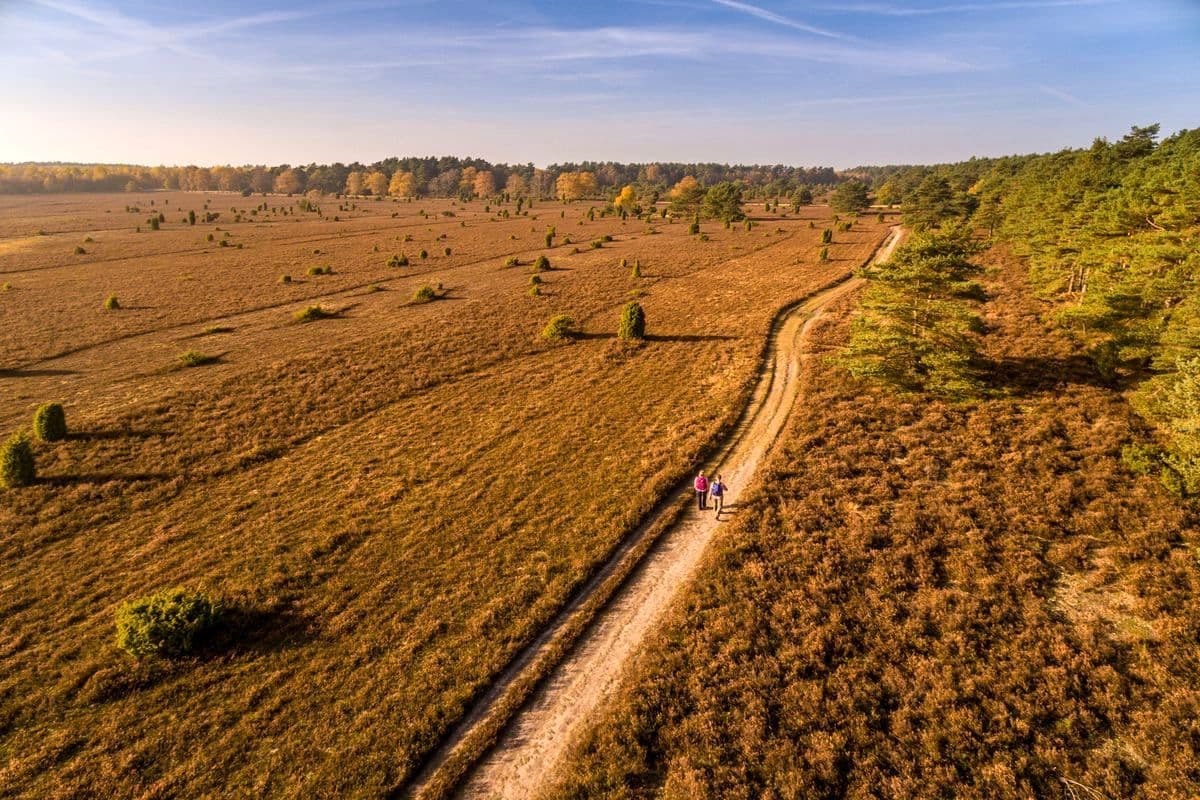 Tiefental, Misselhorner Heide, Hermannsburg