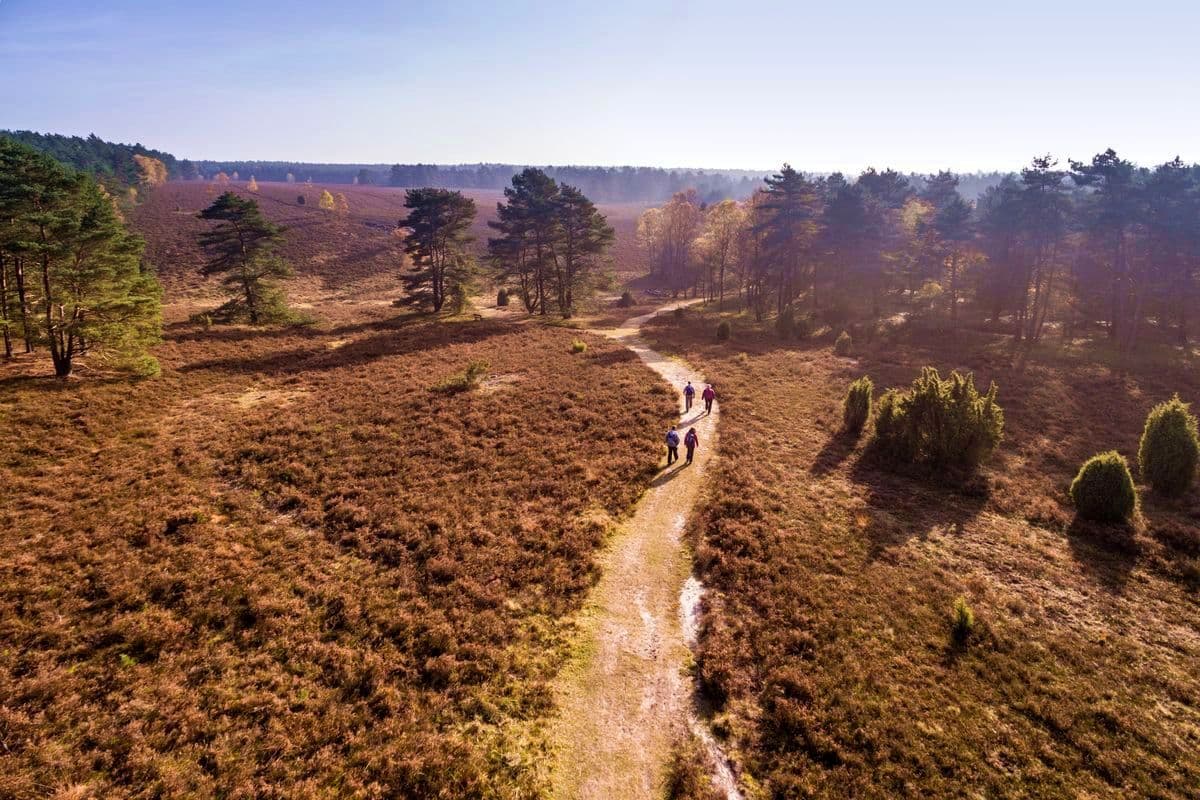 Tiefental, Misselhorner Heide, Hermannsburg