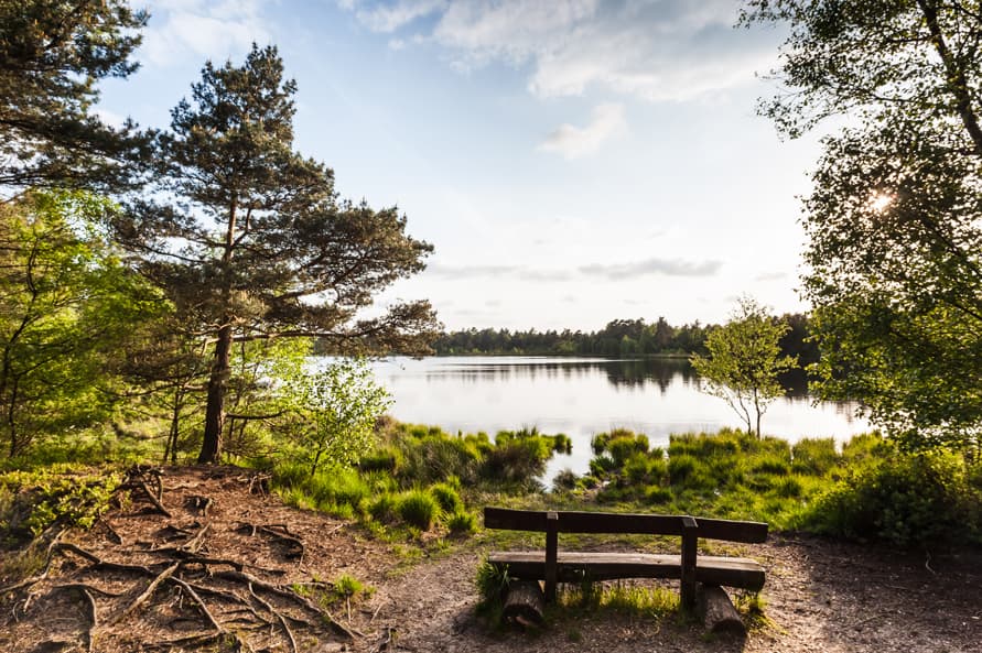 Walsrode: Grundloses Moor with Grundloser See Nature Reserve