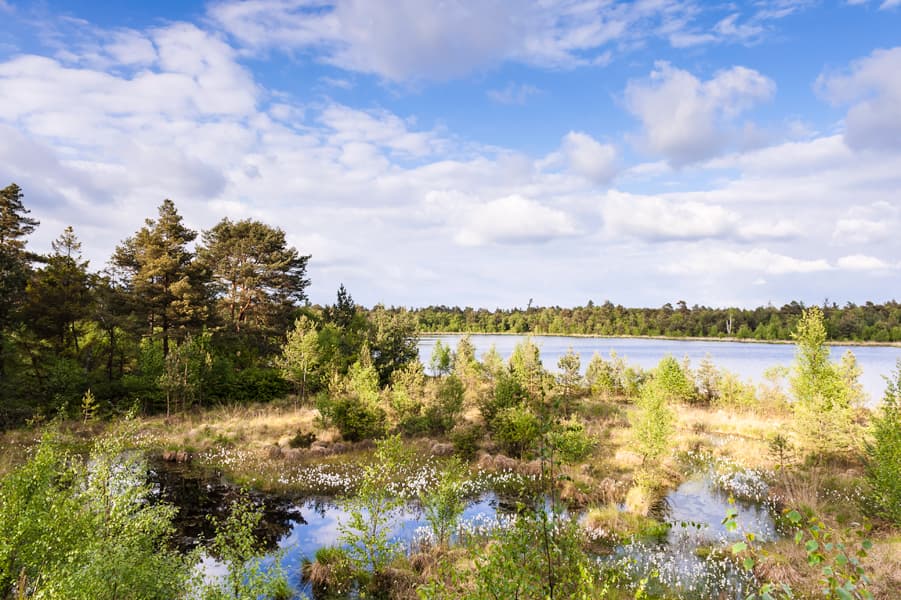 Walsrode: Picturesque Grundloser See [Bottomless Lake] (19 km day walk)