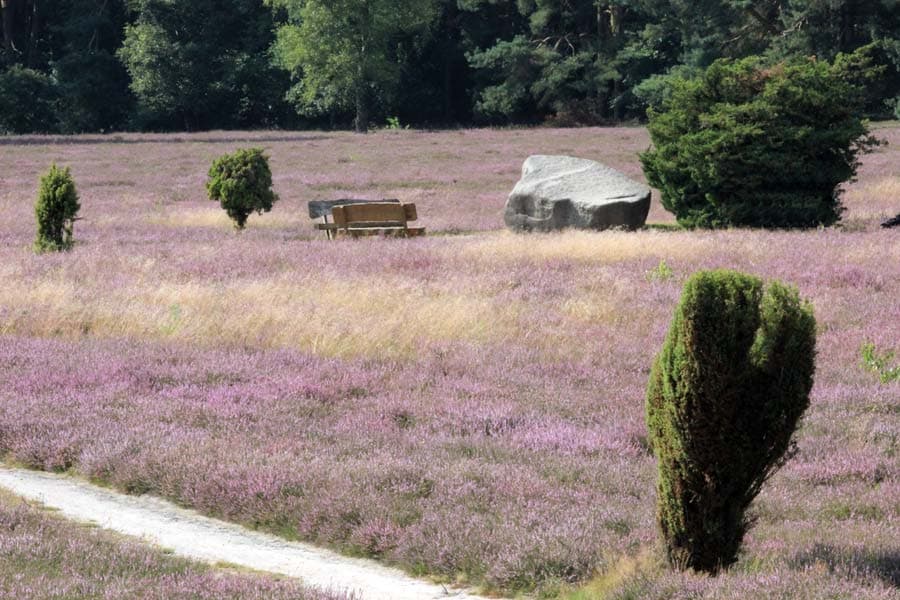 Klein Bünstorfer Heide bei Bad Bevensen