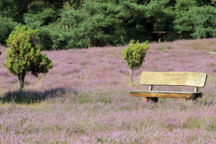 Klein Bünstorfer Heide bei Bad Bevensen