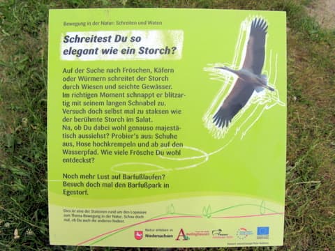 Schreitest Du so elegant wie ein Storch?