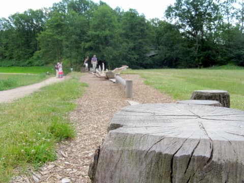 Eichhörnchen-Parcour am Lopausee