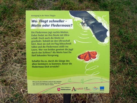 Amelinghausen