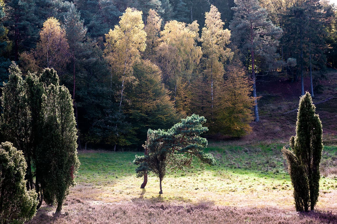 Herbst im Marxener Paradies