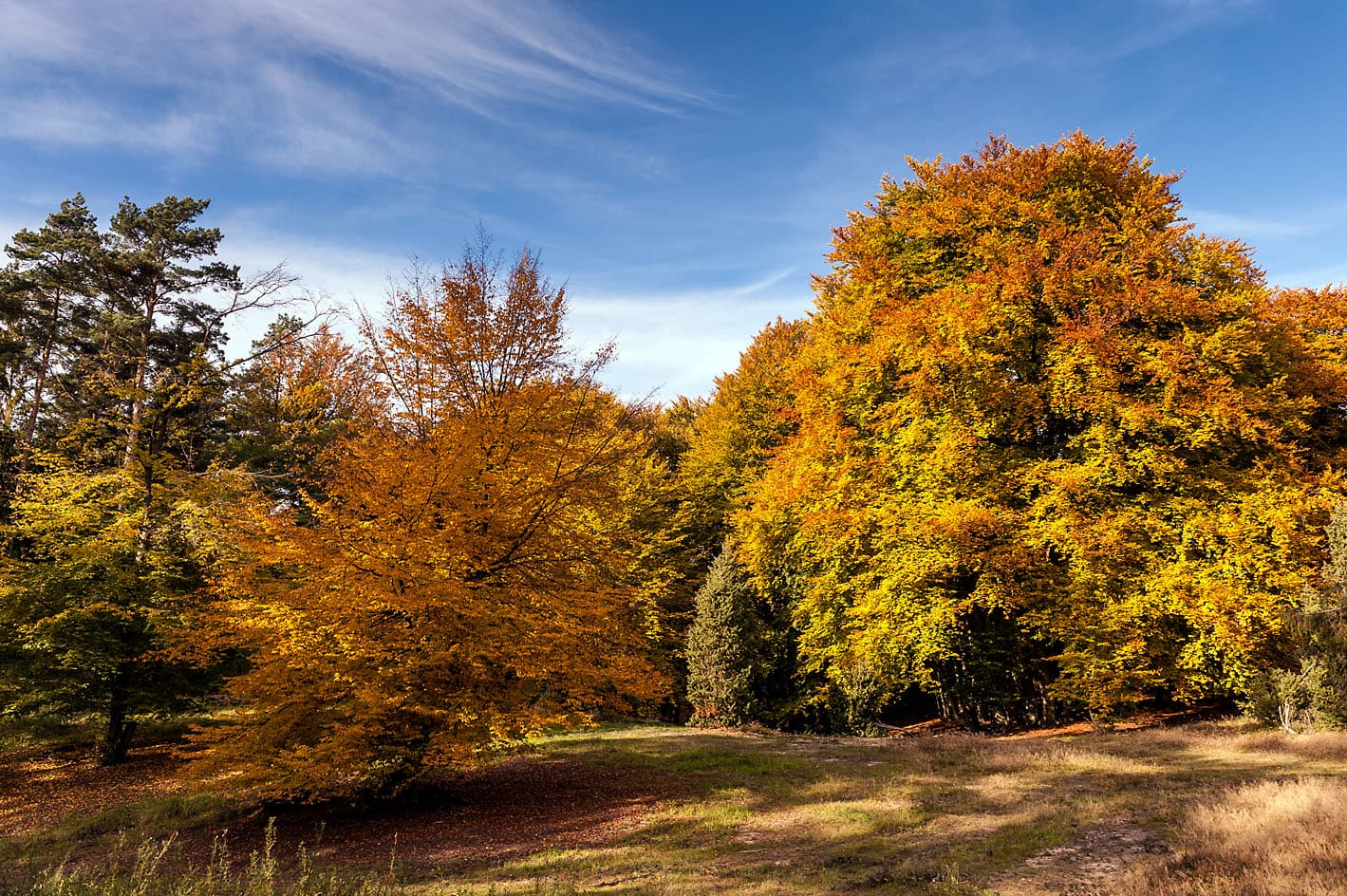 Marxener Paradies Amelinghausen