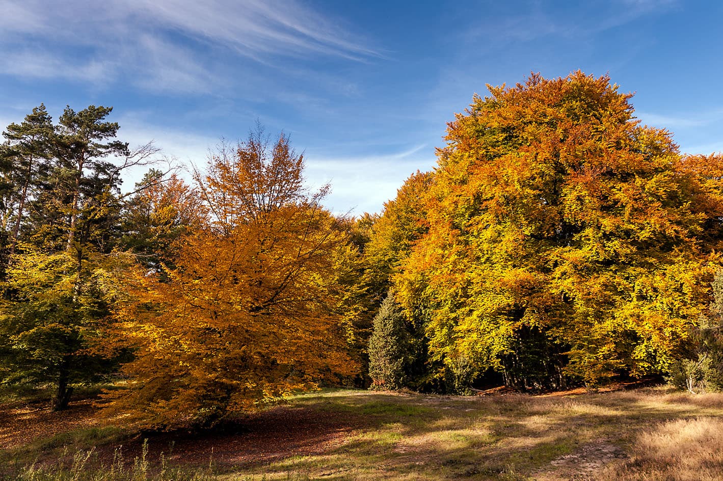 Herbst im Marxener Paradies