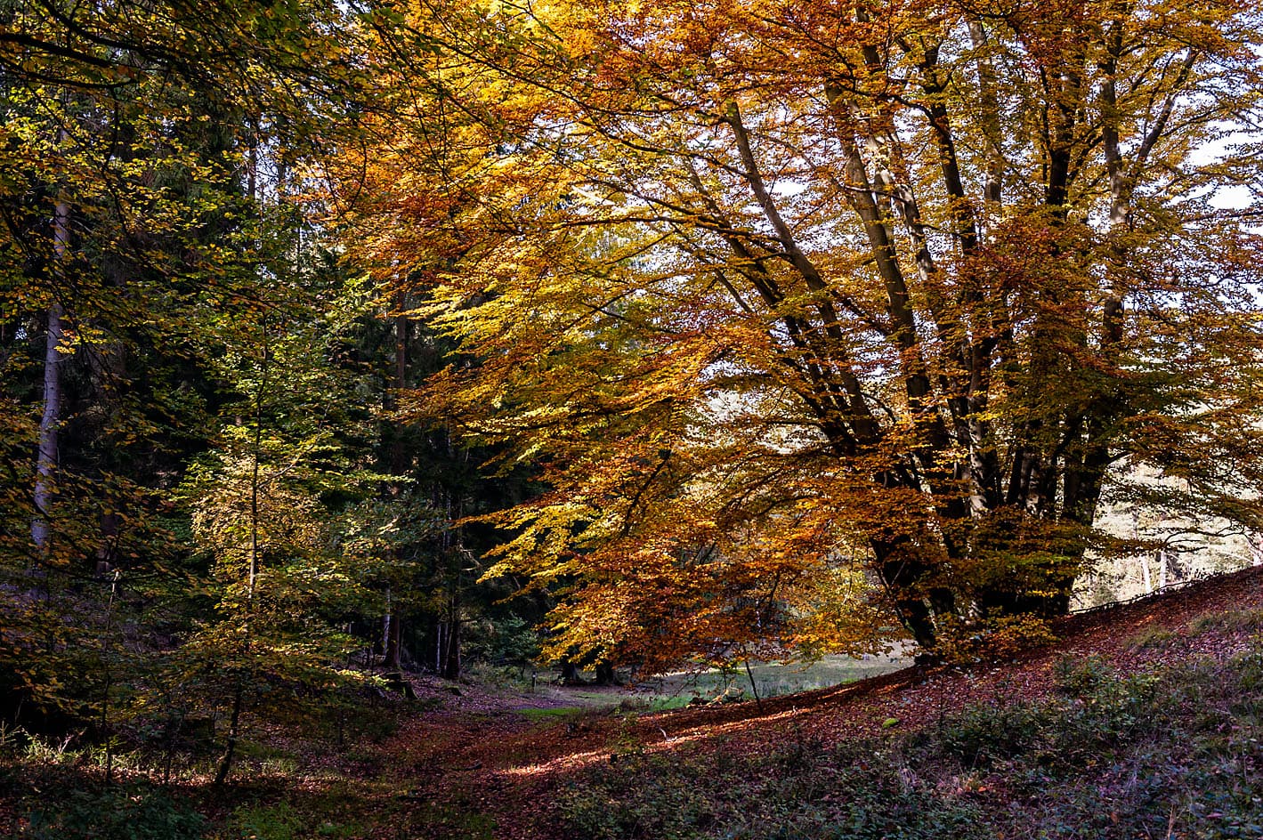 Herbst im Marxener Paradies