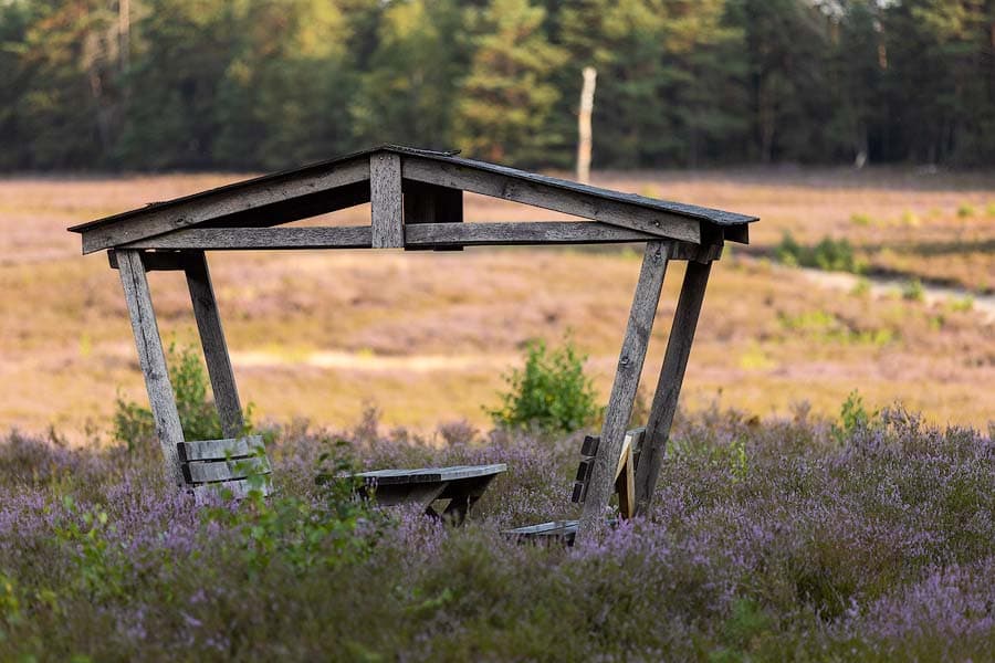 Raststelle Schwindebecker Heide