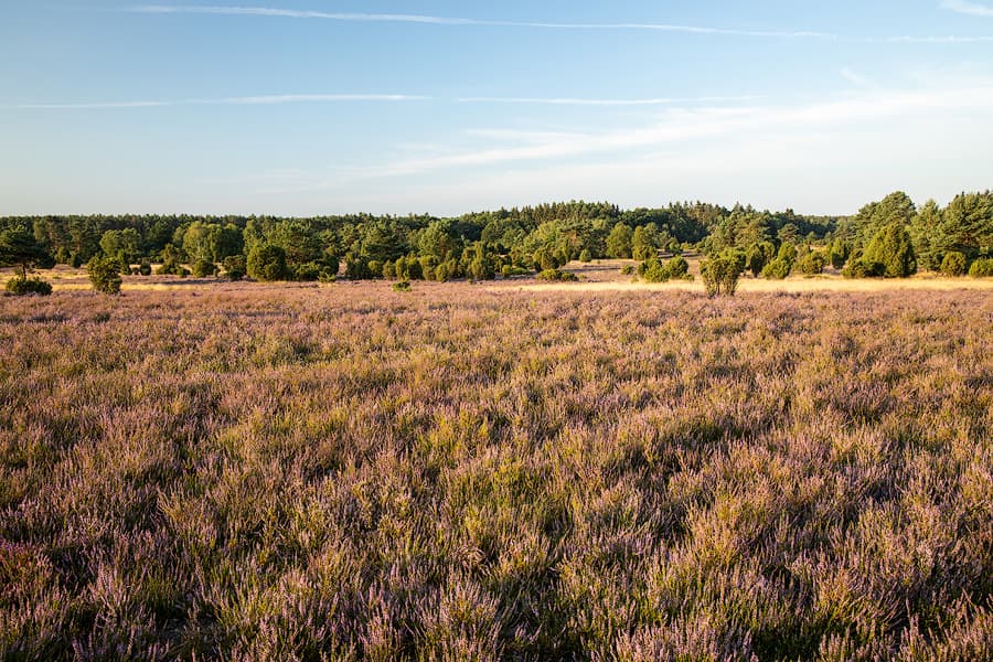 Rehrhofer Heide