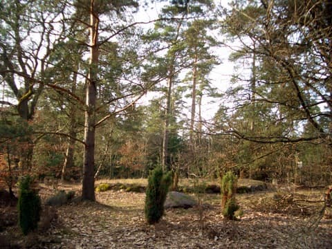 "Dolmengrab" bei Rolfsen