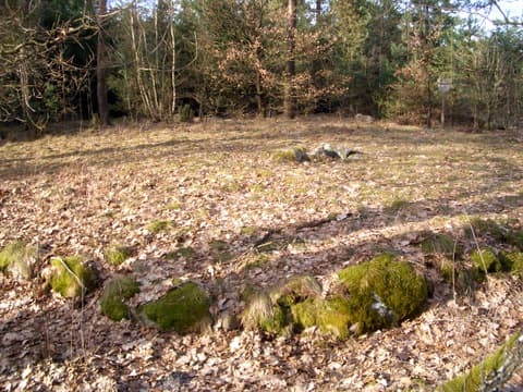 Die Rolfsener "Steinkiste"